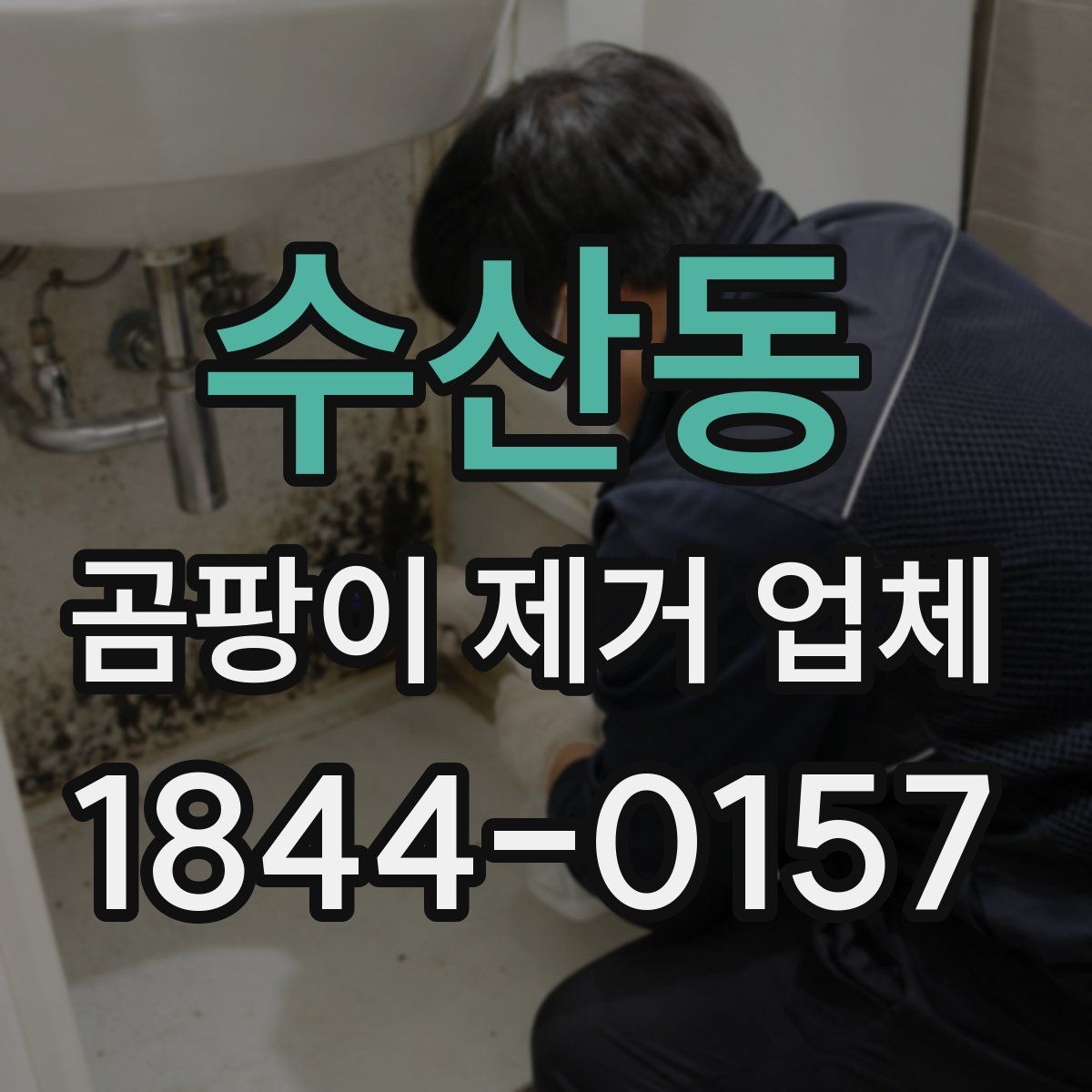 수산동 곰팡이 제거 업체
