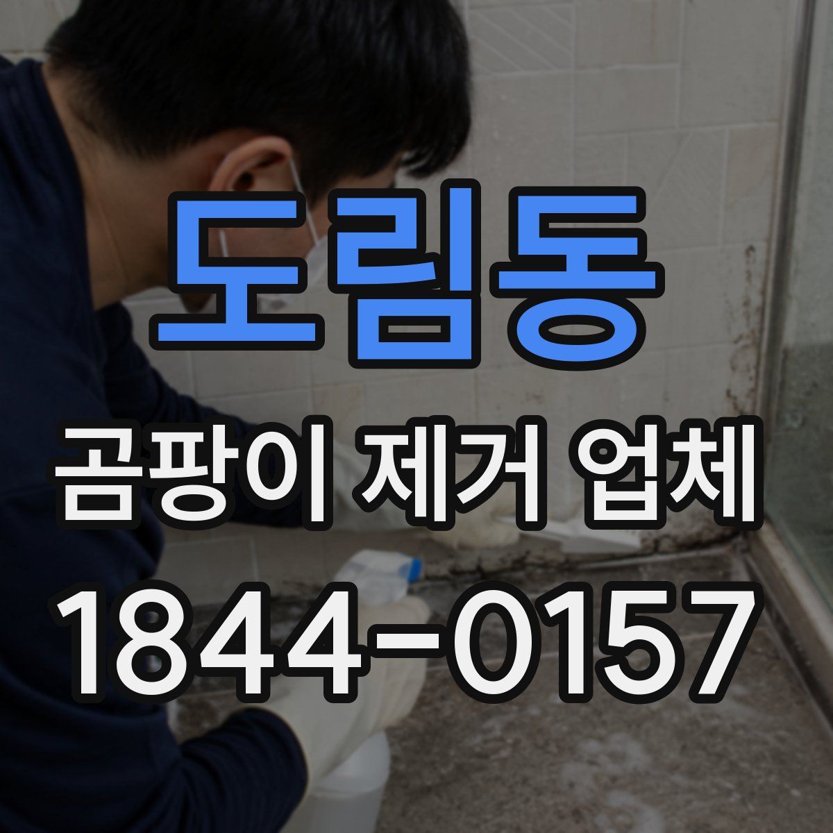 도림동 곰팡이 제거 업체