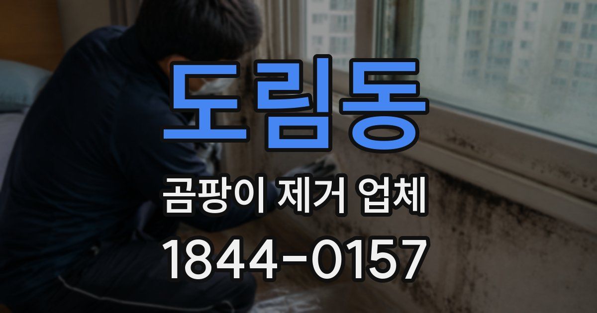 도림동 곰팡이 제거 업체