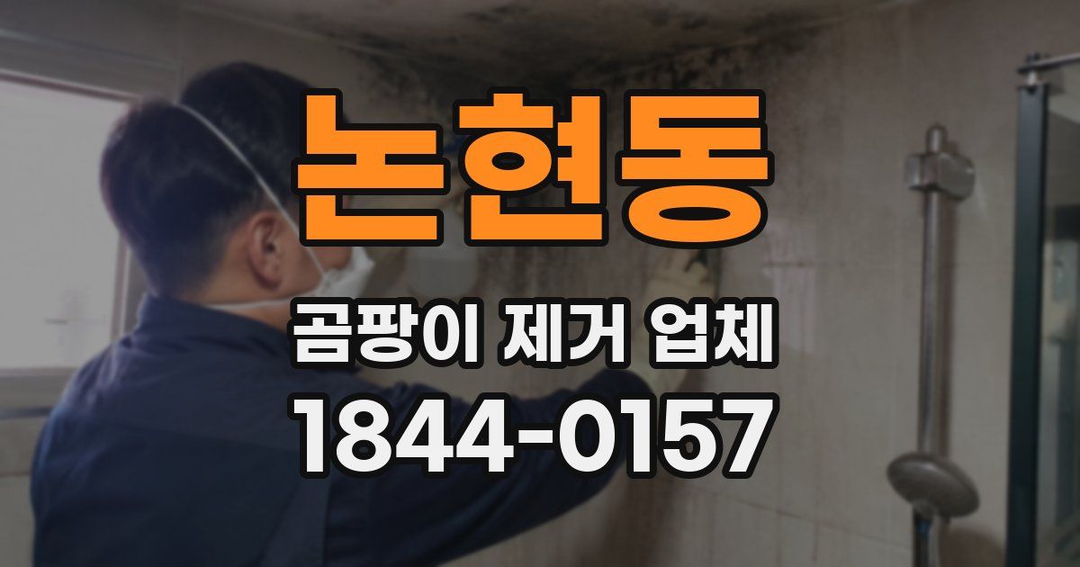 논현동 곰팡이 제거 업체