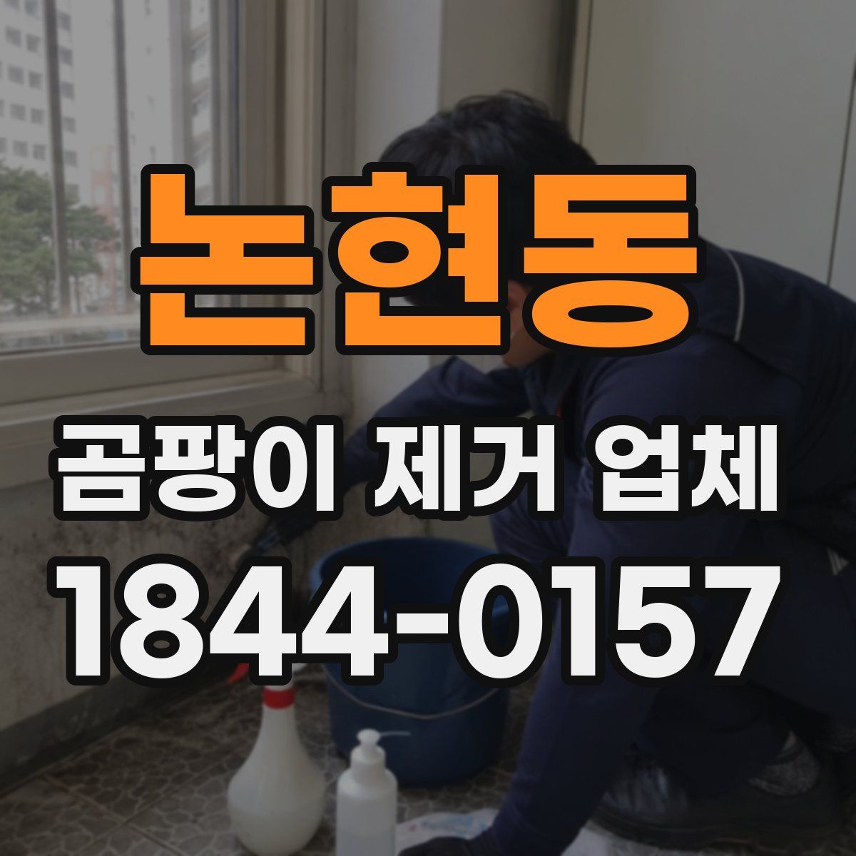 논현동 곰팡이 제거 업체