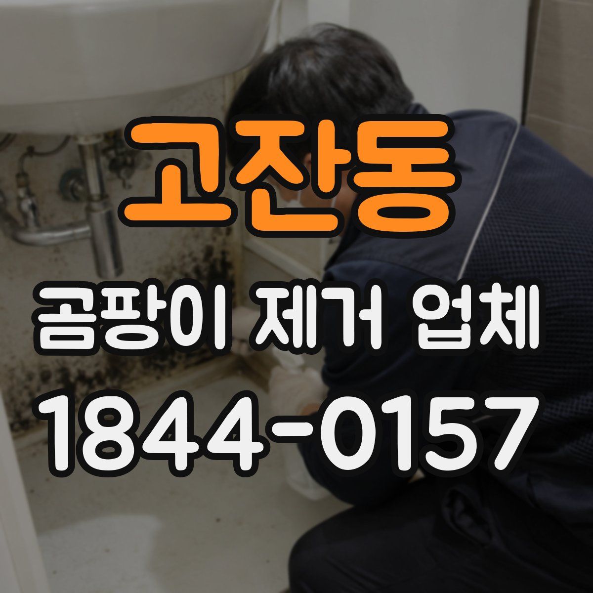 고잔동 곰팡이 제거 업체