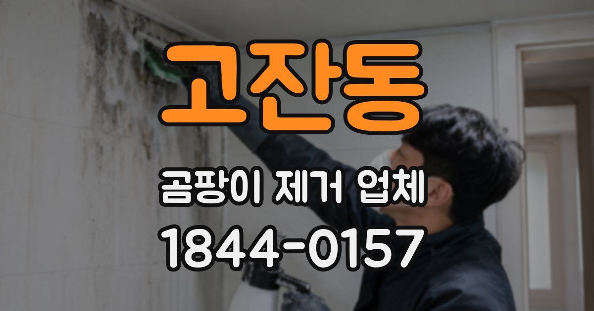 고잔동 곰팡이 제거 업체