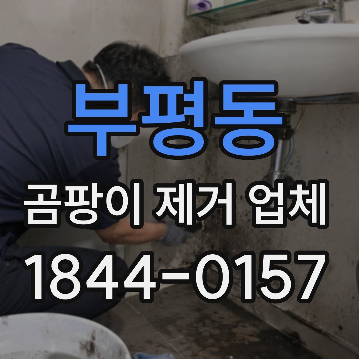 부평동 곰팡이 제거 업체