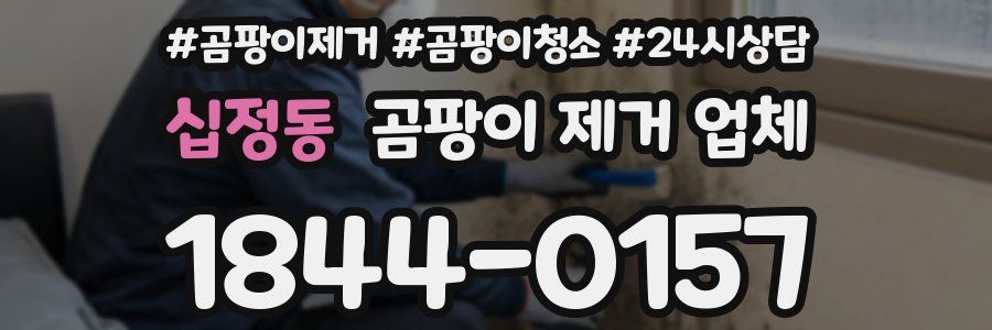 십정동 곰팡이 제거 업체