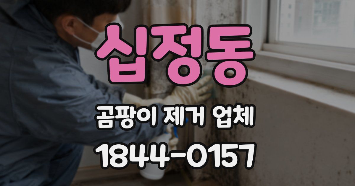 십정동 곰팡이 제거 업체