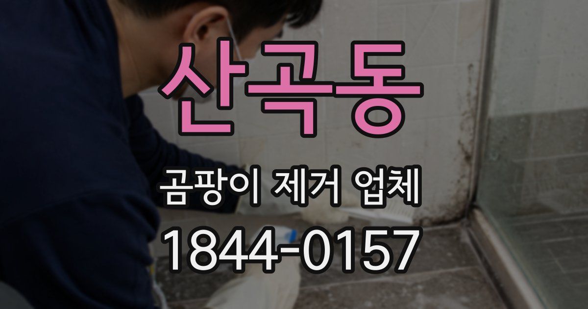 산곡동 곰팡이 제거 업체