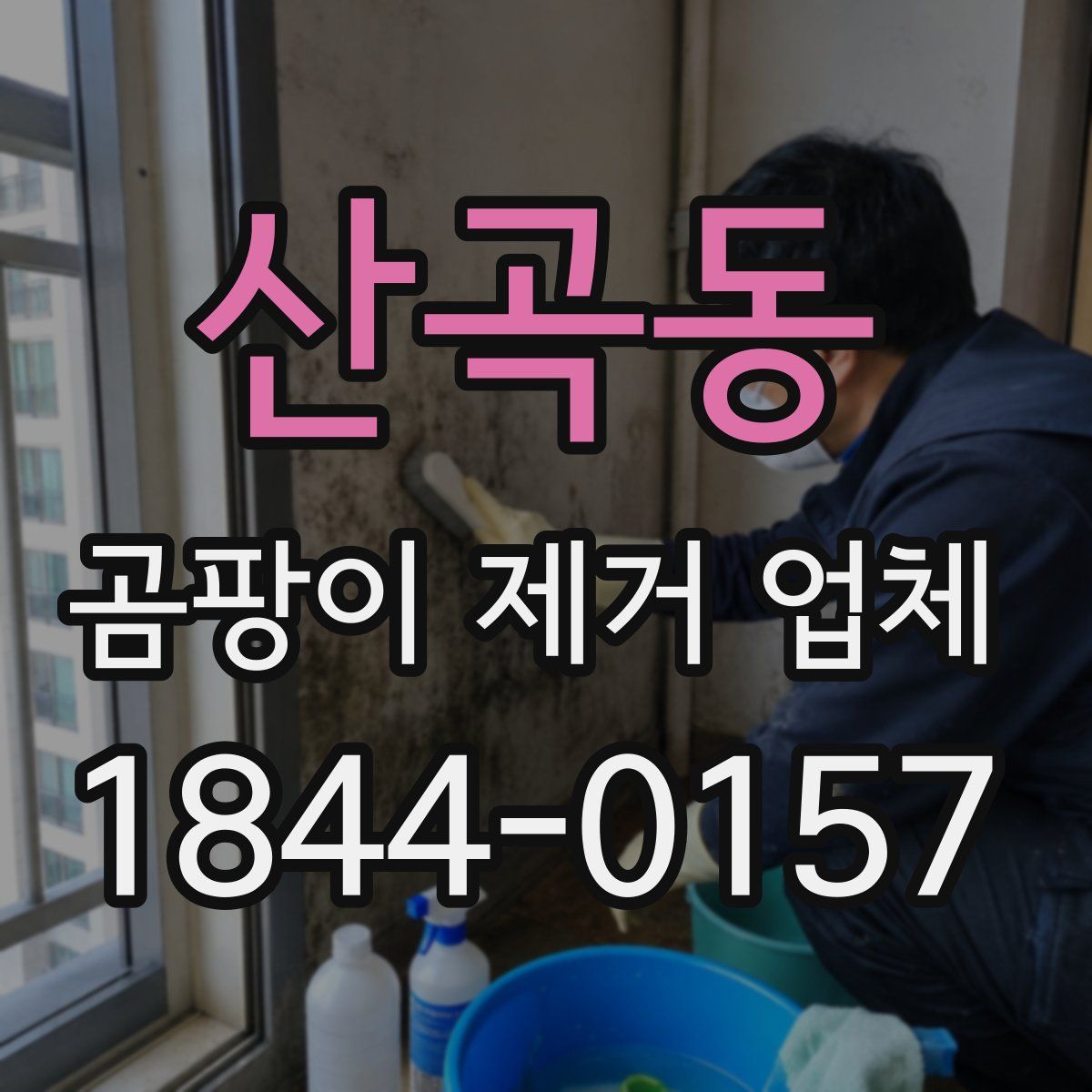 산곡동 곰팡이 제거 업체