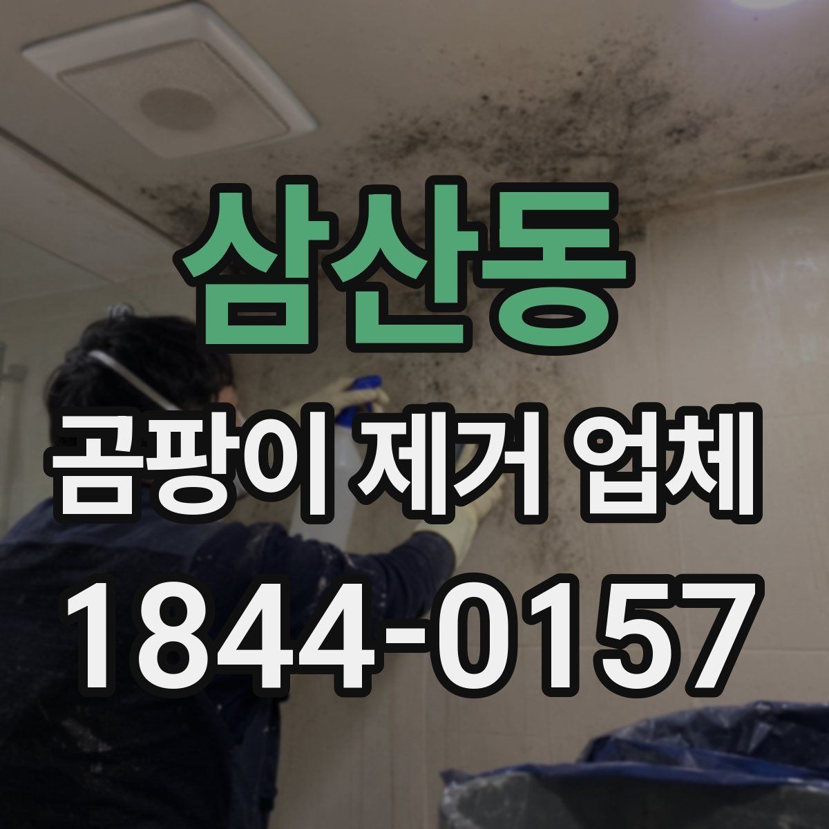 삼산동 곰팡이 제거 업체 실내 습도와 오염 재발의 관계