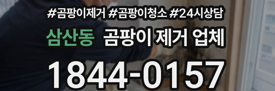 삼산동 곰팡이 제거 업체