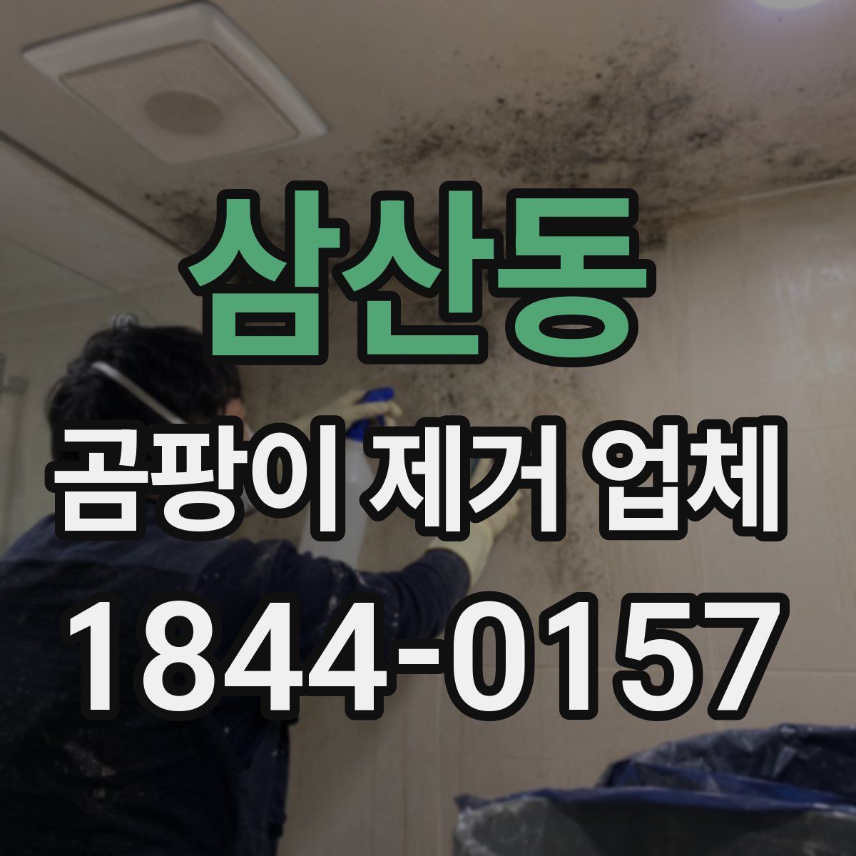 삼산동 곰팡이 제거 업체