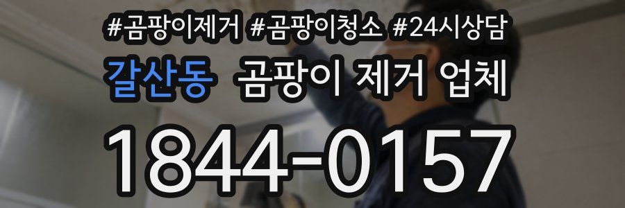갈산동 곰팡이 제거 업체