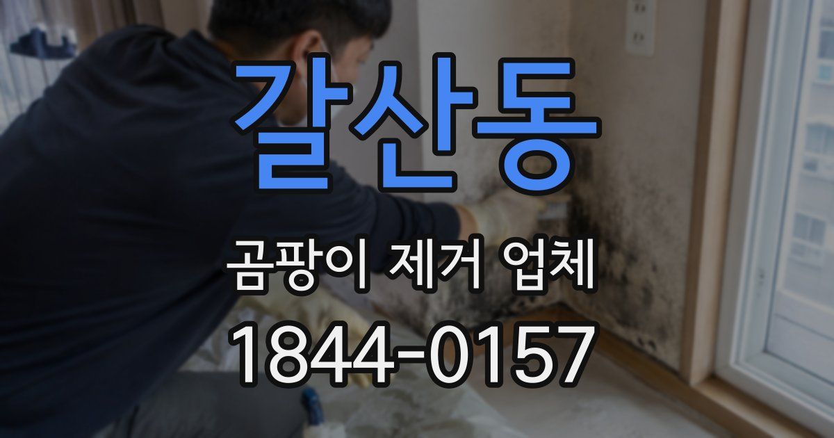 갈산동 곰팡이 제거 업체