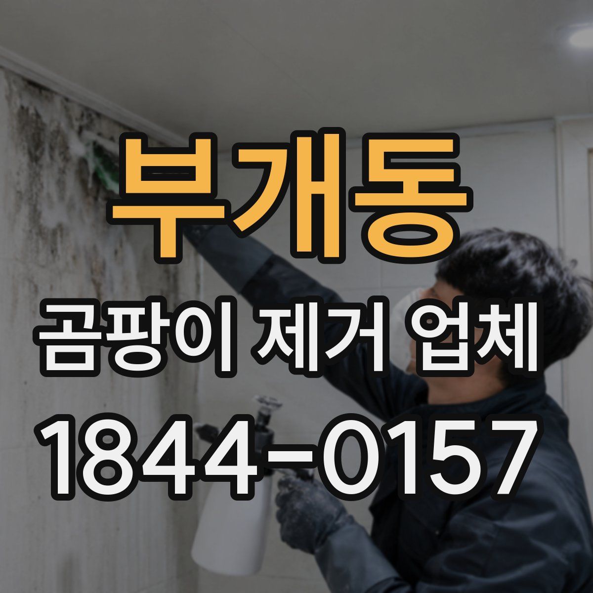부개동 곰팡이 제거 업체