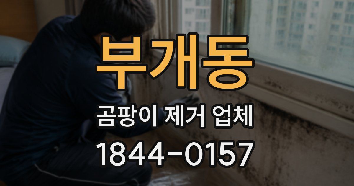 부개동 곰팡이 제거 업체