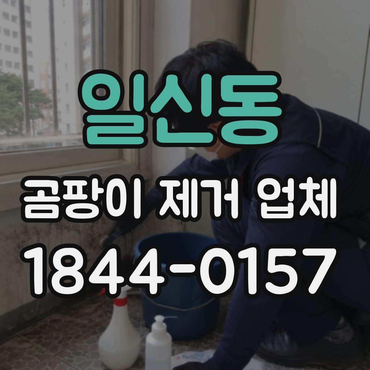 일신동 곰팡이 제거 업체