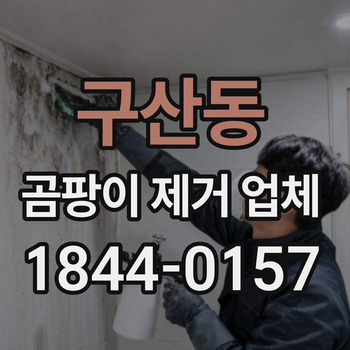 구산동 곰팡이 제거 업체