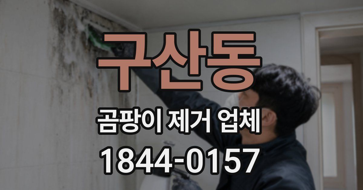 구산동 곰팡이 제거 업체