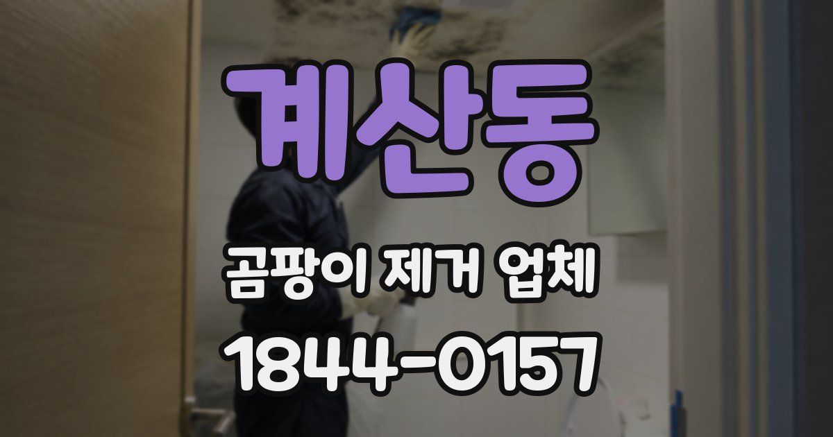 계산동 곰팡이 제거 업체