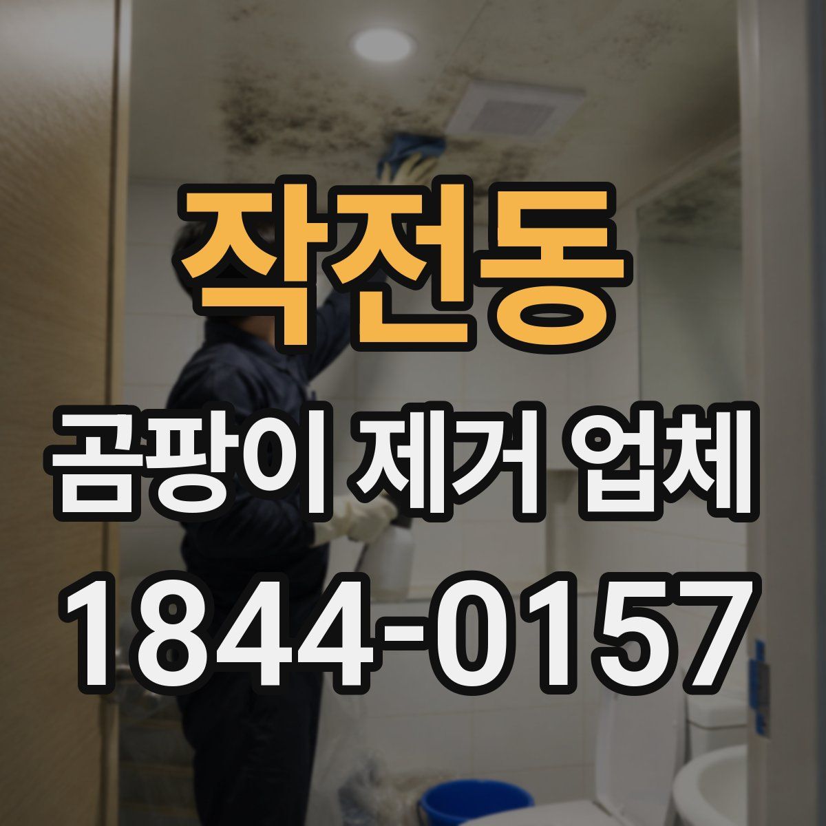 작전동 곰팡이 제거 업체