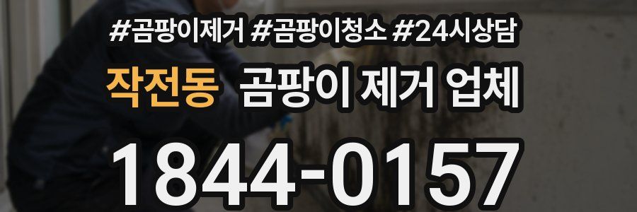작전동 곰팡이 제거 업체