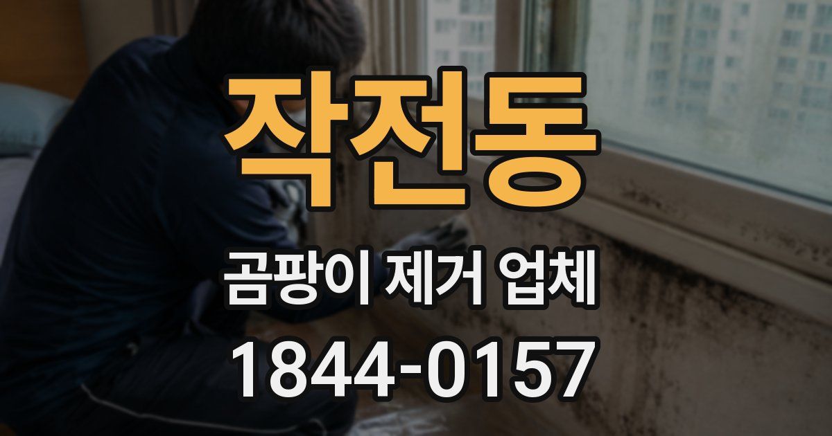 작전동 곰팡이 제거 업체