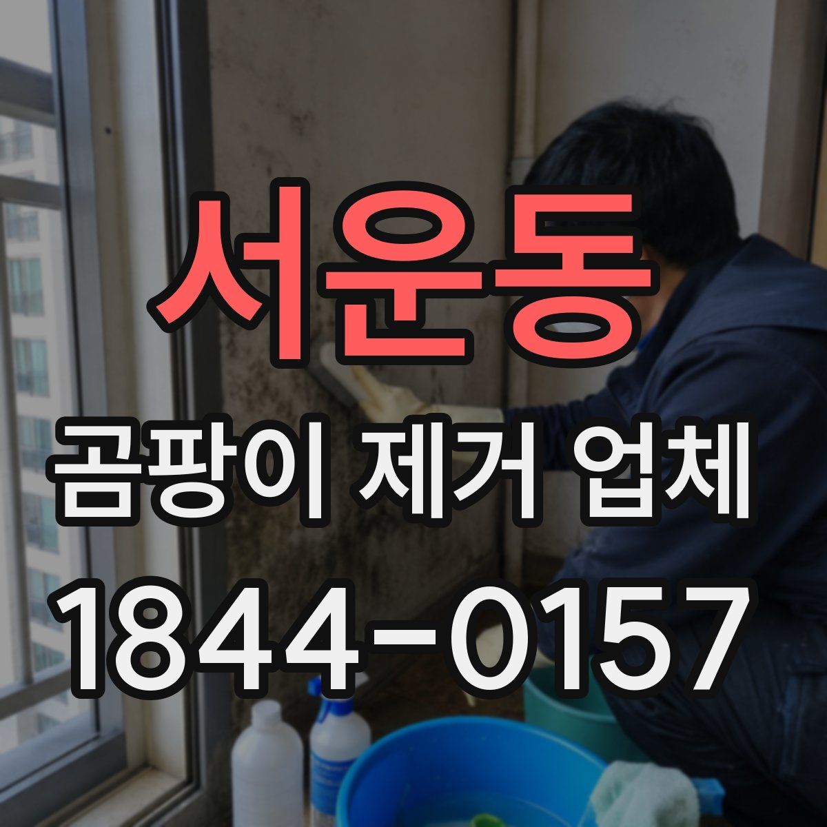 서운동 곰팡이 제거 업체