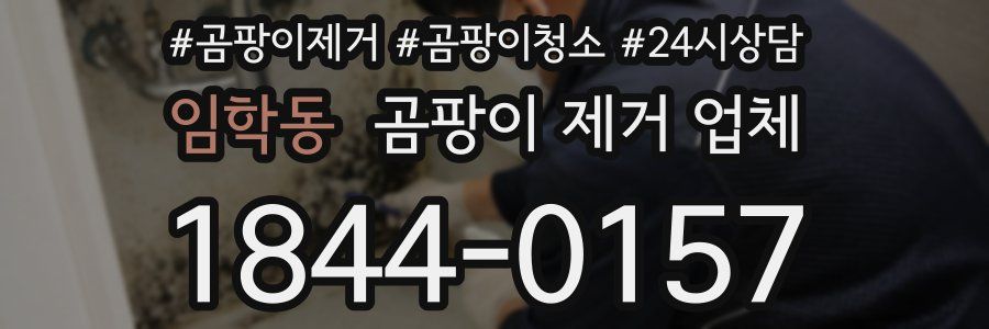 임학동 곰팡이 제거 업체