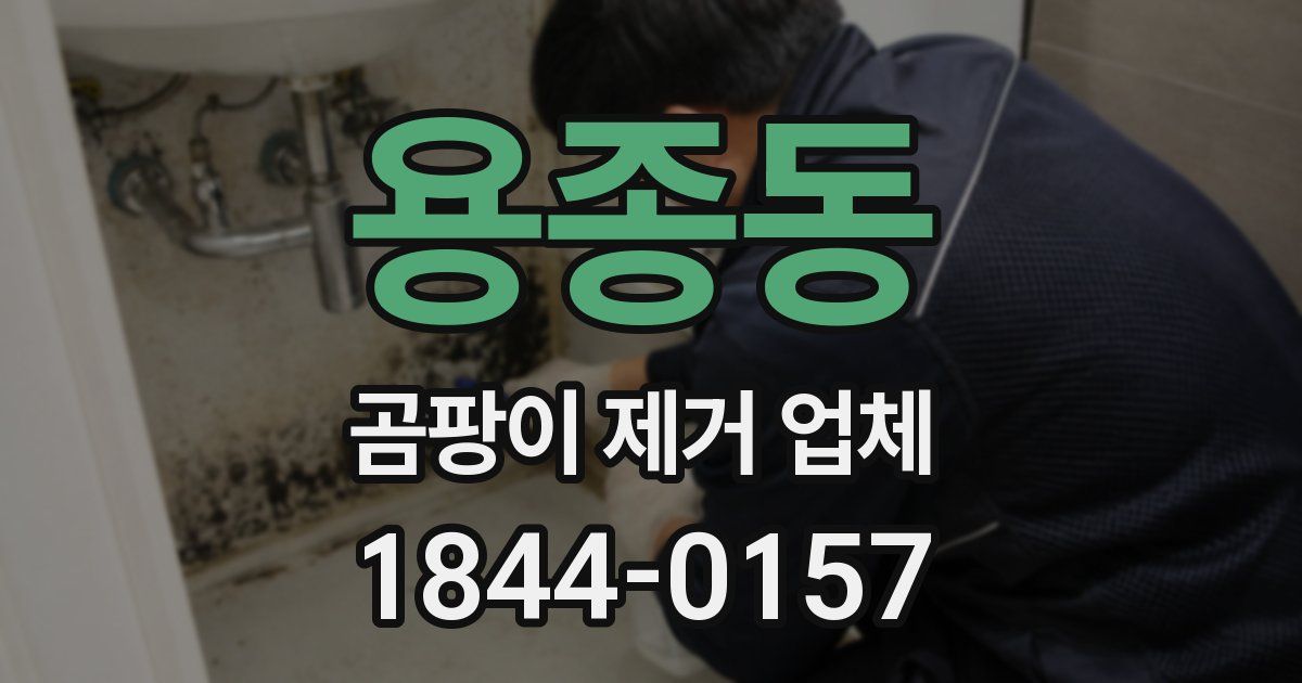용종동 곰팡이 제거 업체