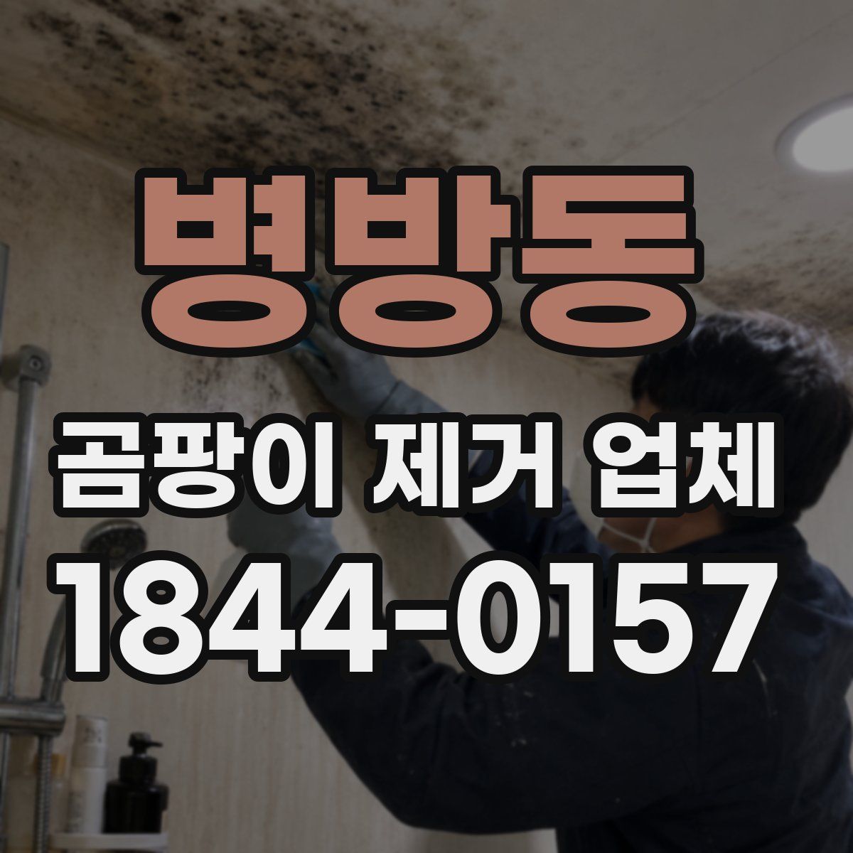 병방동 곰팡이 제거 업체