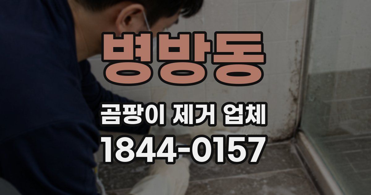 병방동 곰팡이 제거 업체