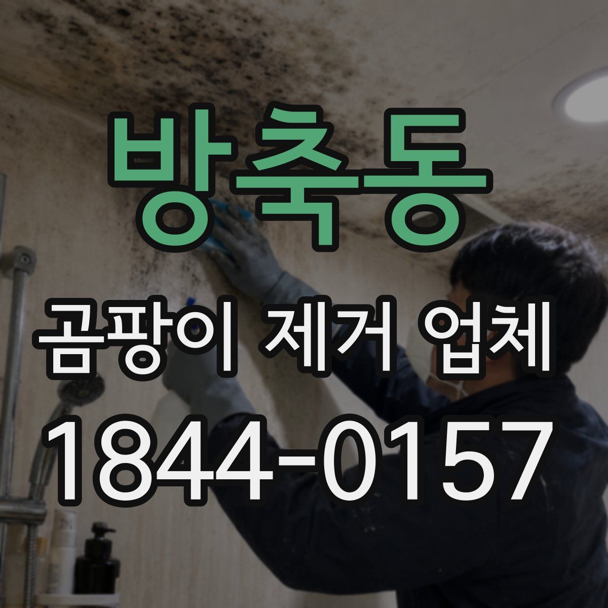 방축동 곰팡이 제거 업체