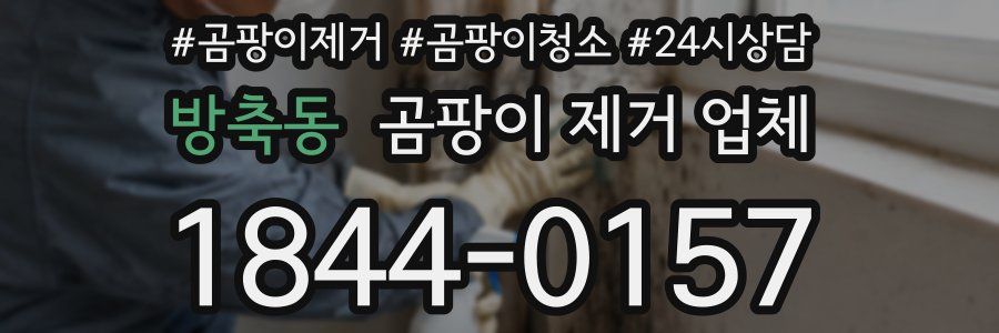 방축동 곰팡이 제거 업체