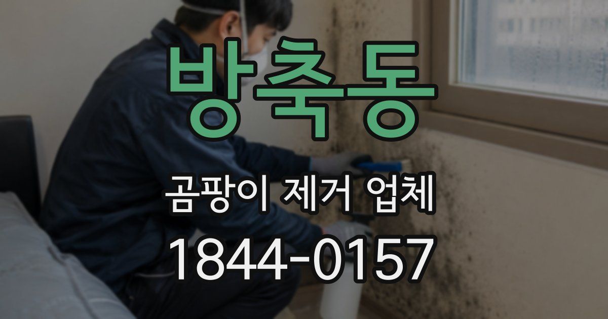 방축동 곰팡이 제거 업체
