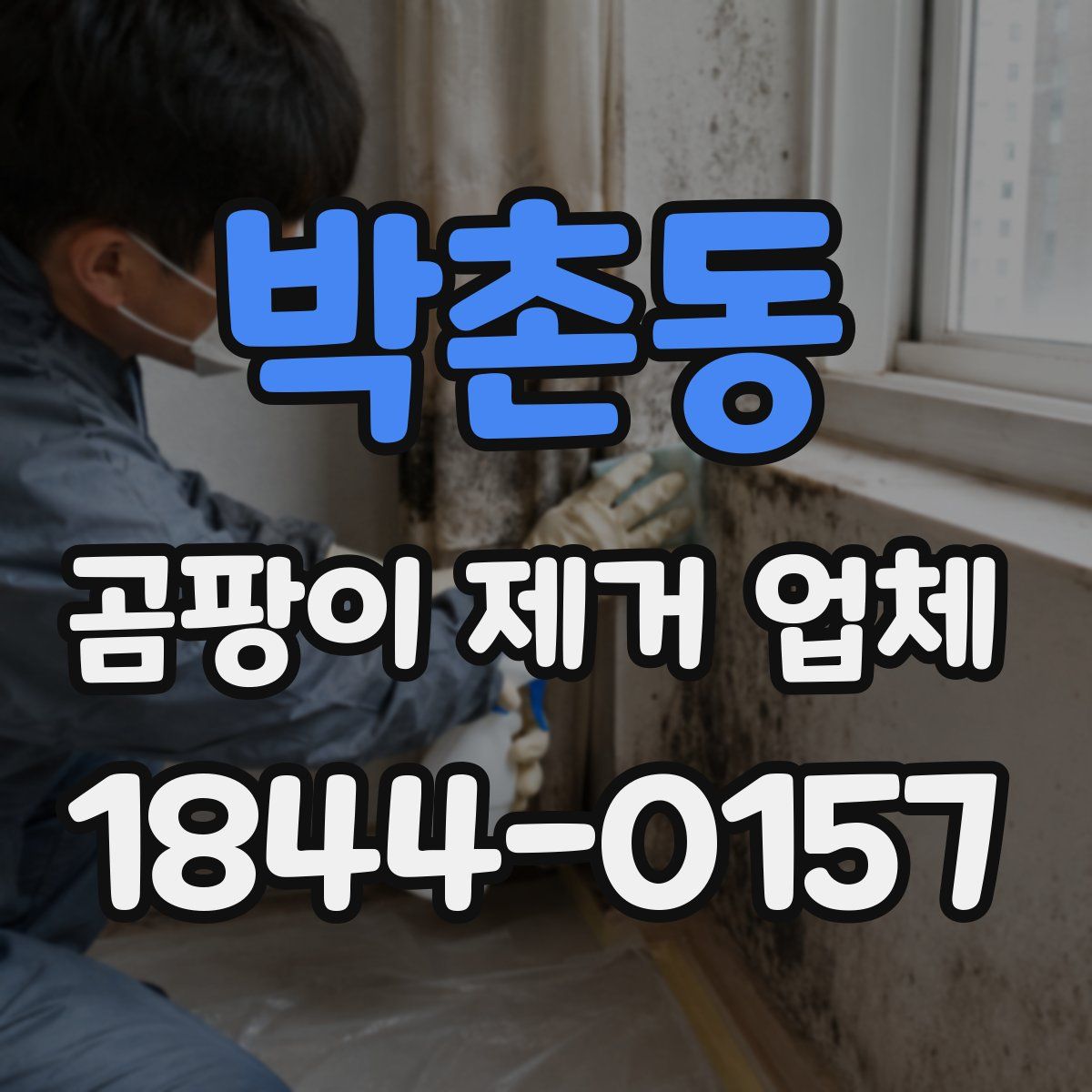 박촌동 곰팡이 제거 업체