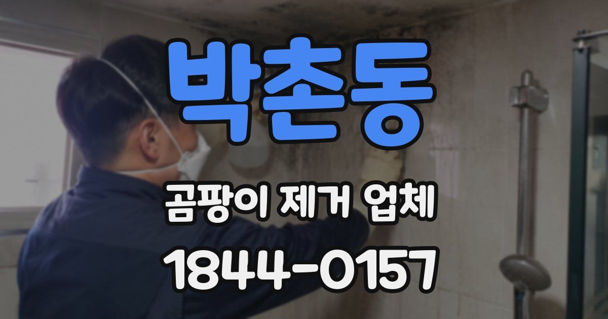 박촌동 곰팡이 제거 업체