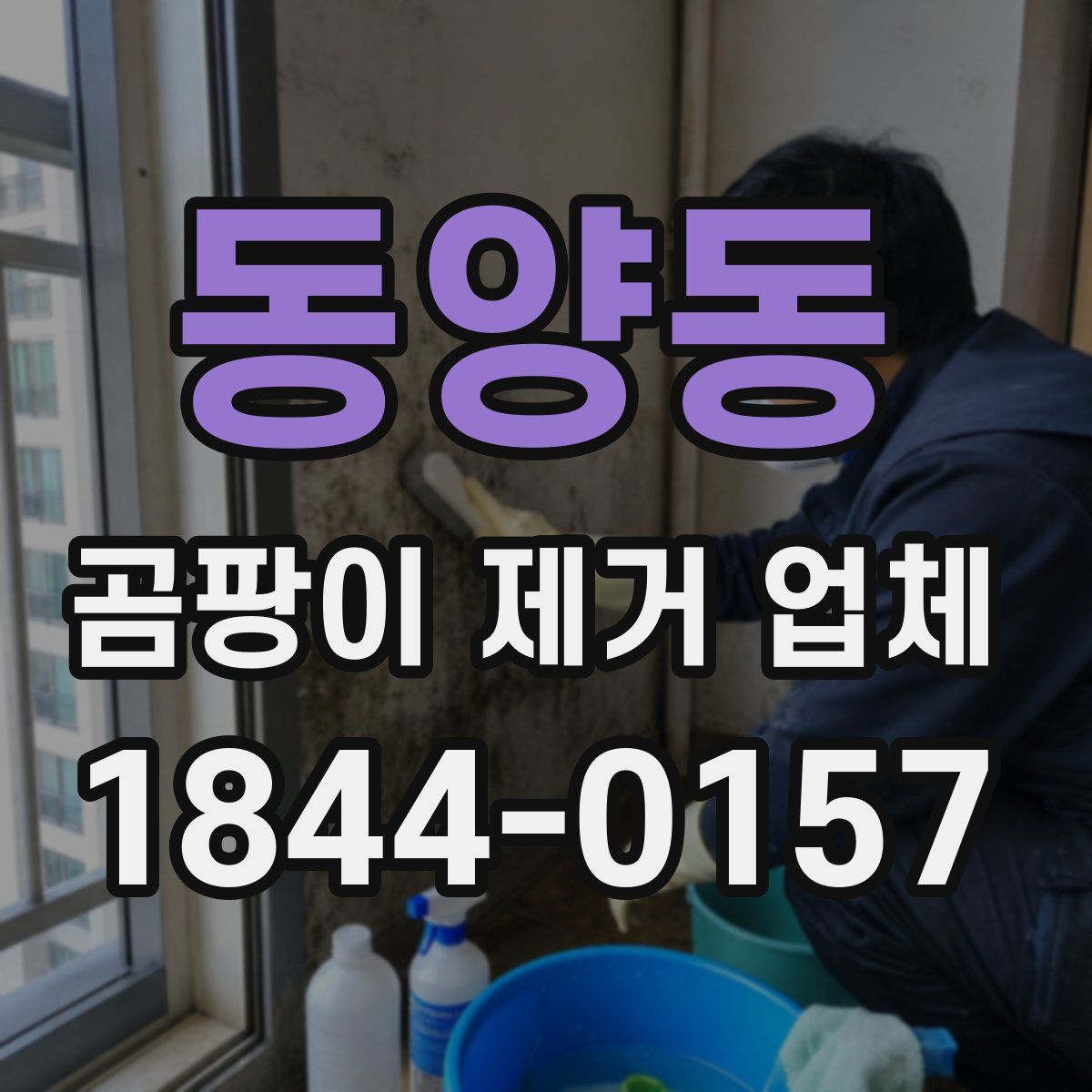 동양동 곰팡이 제거 업체
