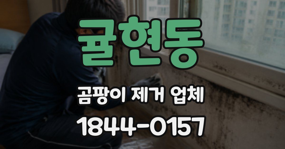 귤현동 곰팡이 제거 업체