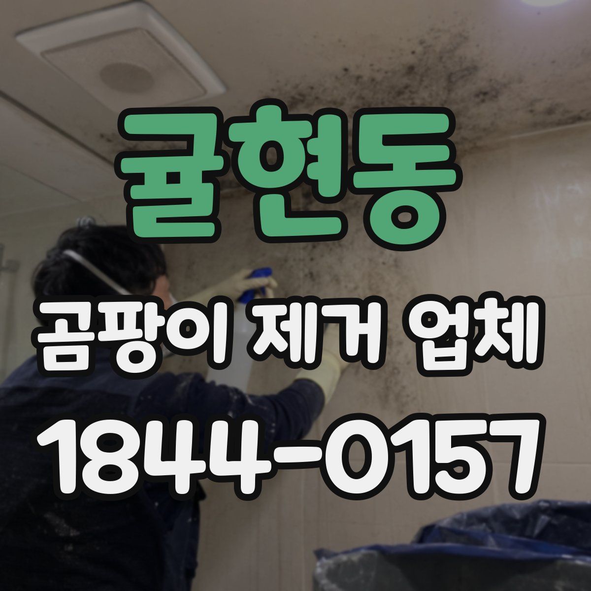 귤현동 곰팡이 제거 업체