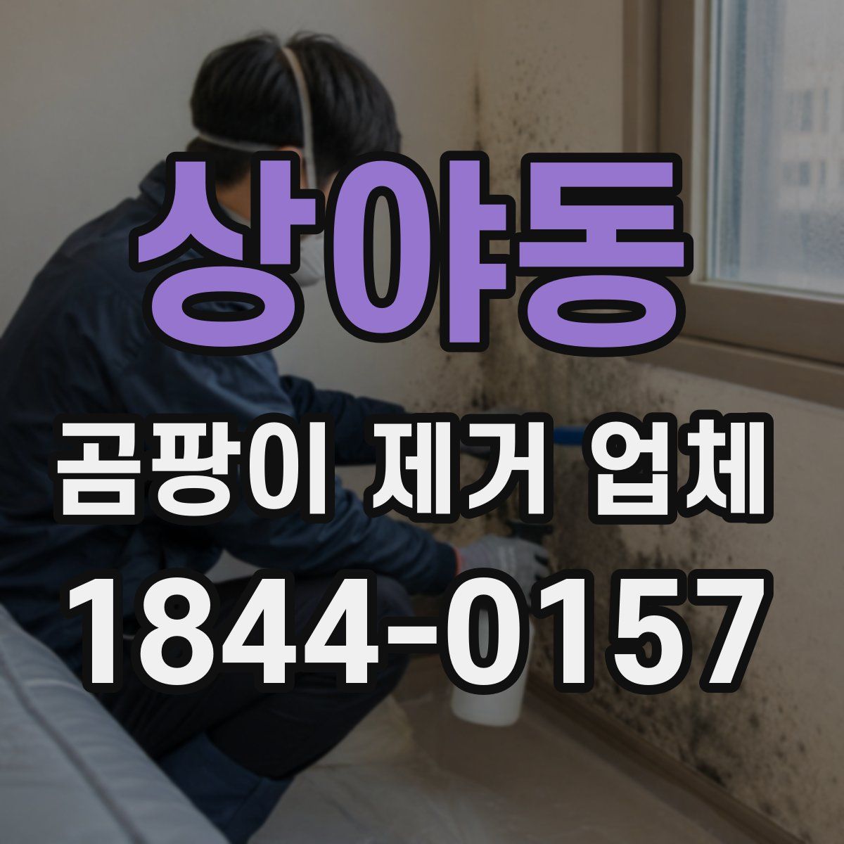 상야동 곰팡이 제거 업체