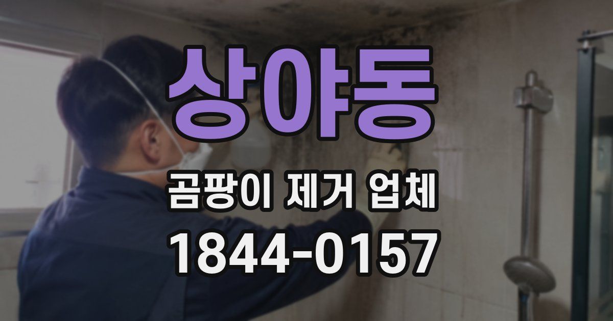 상야동 곰팡이 제거 업체