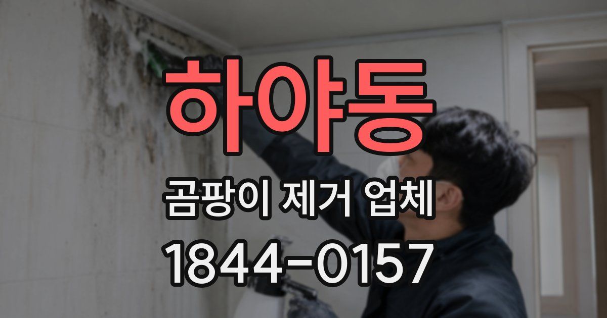 하야동 곰팡이 제거 업체