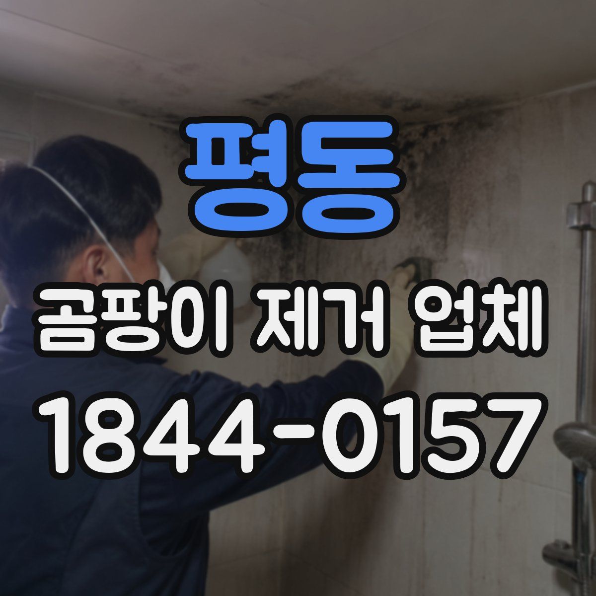 평동 곰팡이 제거 업체