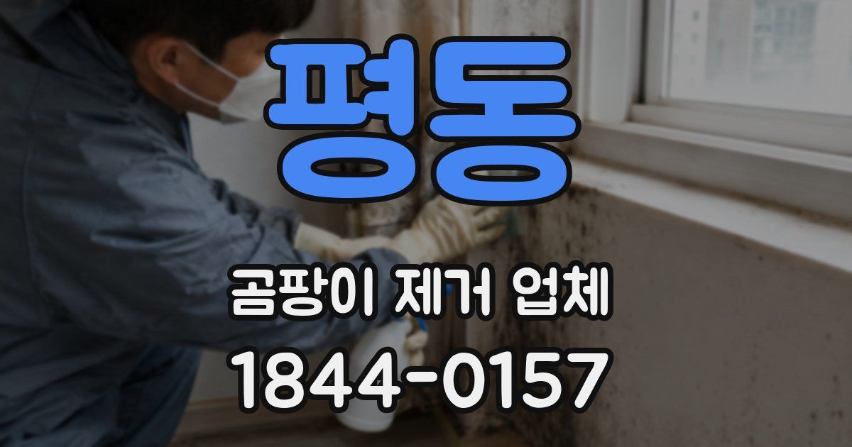 평동 곰팡이 제거 업체