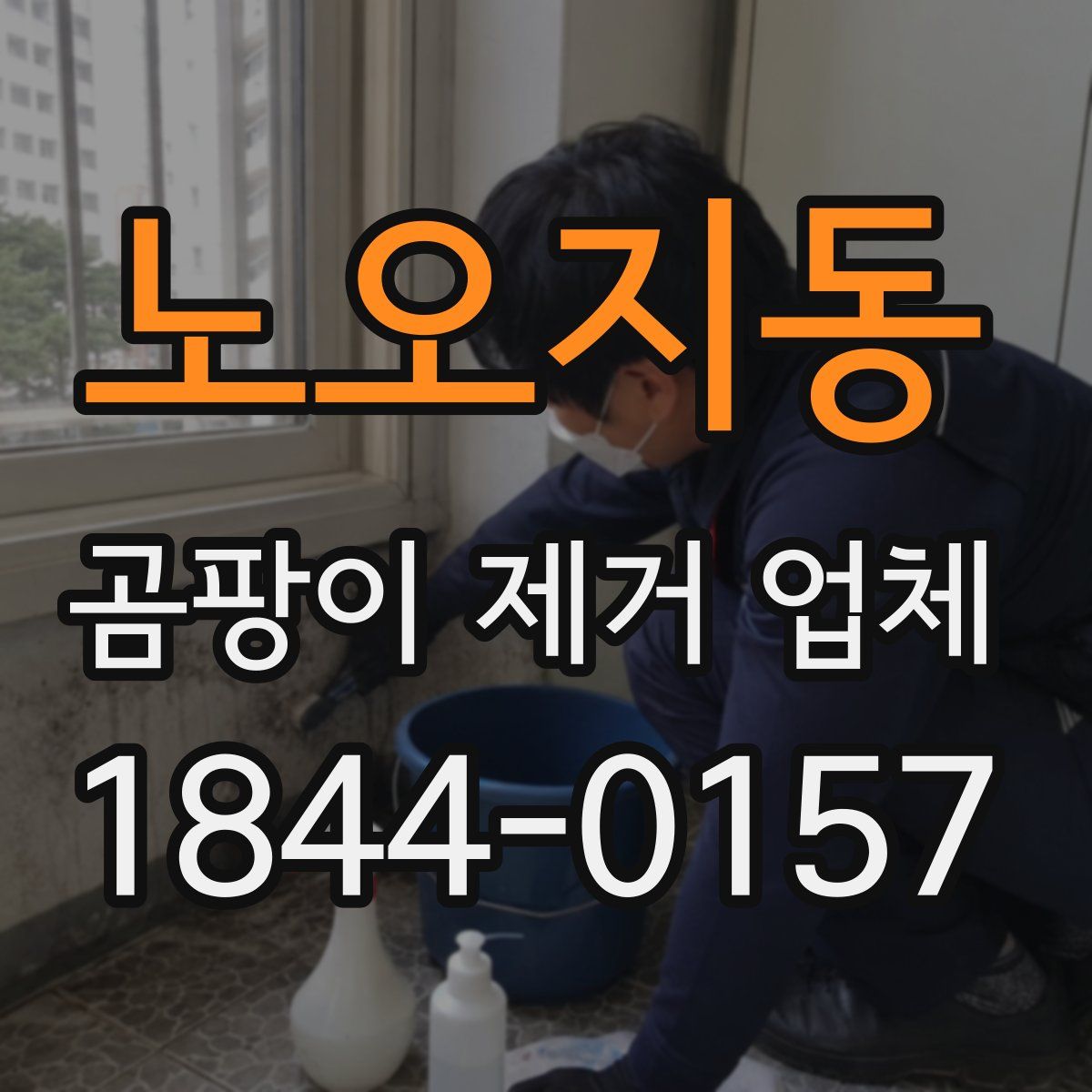 노오지동 곰팡이 제거 업체
