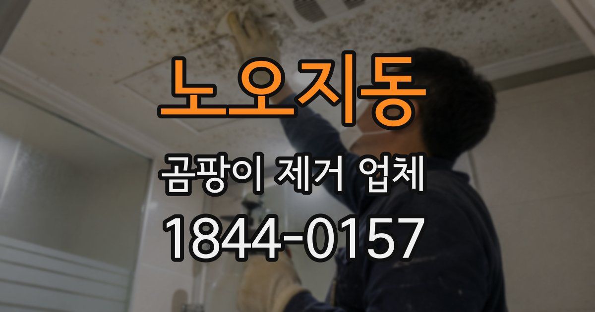 노오지동 곰팡이 제거 업체