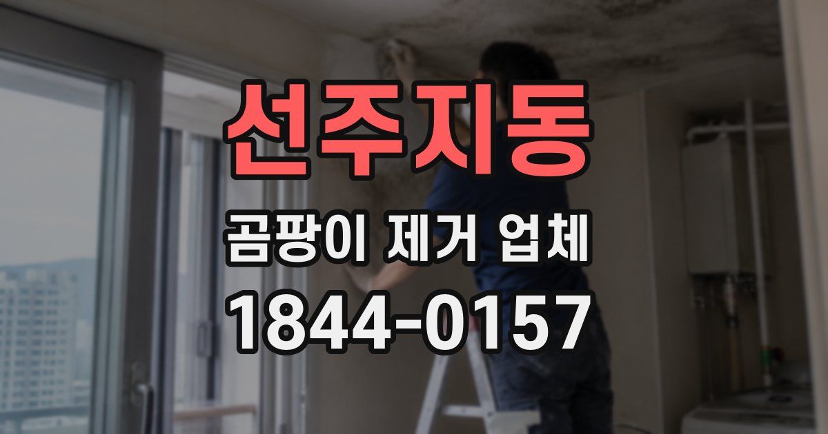 선주지동 곰팡이 제거 업체