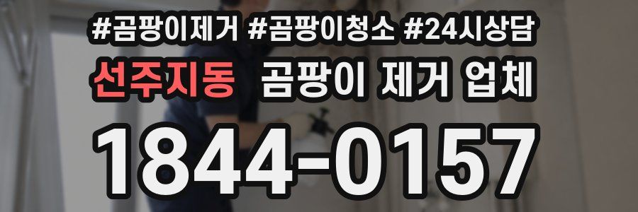 선주지동 곰팡이 제거 업체