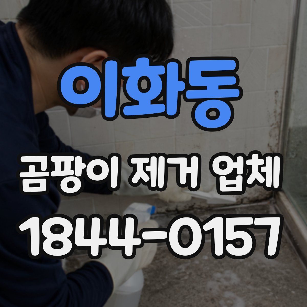 이화동 곰팡이 제거 업체