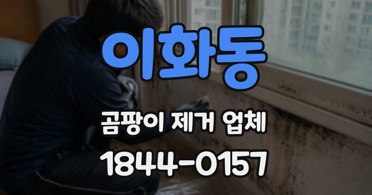 이화동 곰팡이 제거 업체